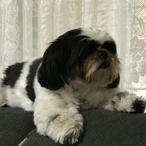 Meet your Posher, Eloise